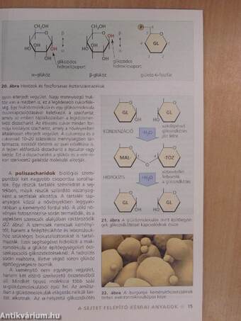 Biológia 11.