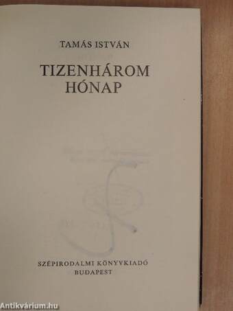 Tizenhárom hónap