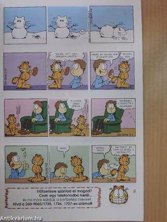 Garfield 1998/2.