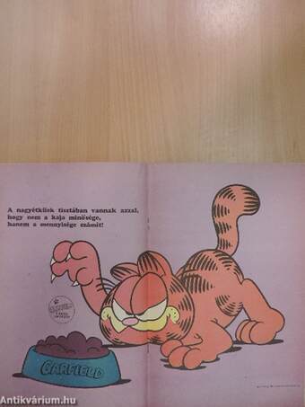 Garfield 1991/3.