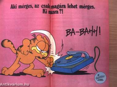 Garfield 1990/9.