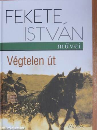 Végtelen út