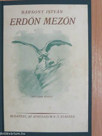 Erdőn mezőn