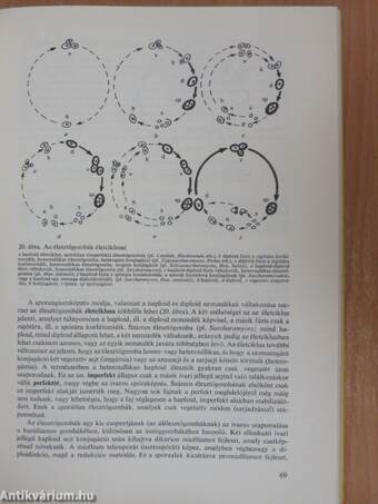 Konzerv-, hús- és hűtőipari mikrobiológia