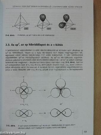 Bioorganikus kémia