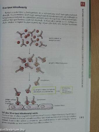 Az immunológia időszerű kérdései a humánreprodukcióban