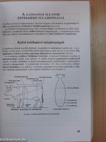 A szakértő gazda állattenyésztési ismeretei