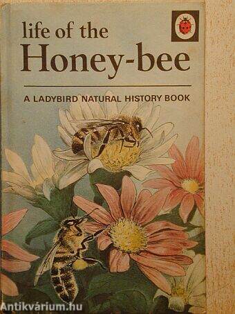 Life of the Honey-bee