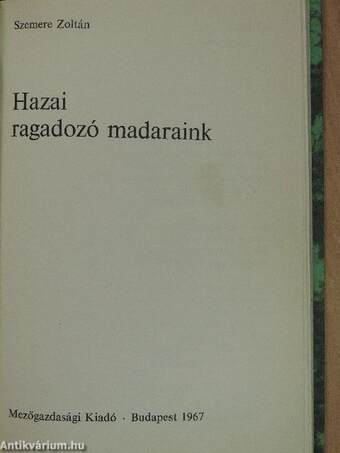 Hazai ragadozó madaraink