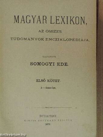 Magyar Lexikon I-XVI.