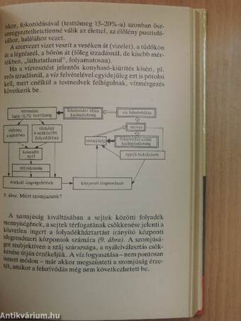 Az éhezéstől az elhízásig