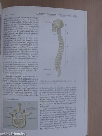 Biológia 11