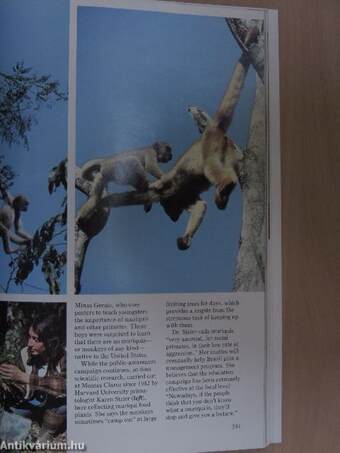 National Geographic March 1987