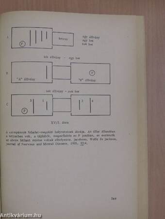 Szöveggyűjtemény az összehasonlító pszichológiához II.