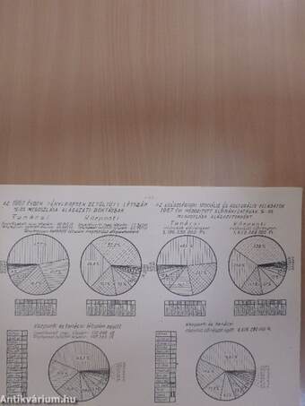 Az egészségügyi és szociális címek, intézetek, intézmények 1967. évi beszámolási adatgyűjteménye I-II.