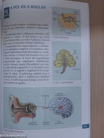 Biológia, egészségtan 10.