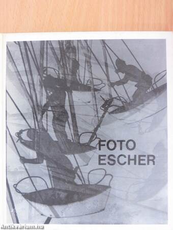 Escher Károly munkássága