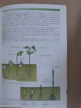 Állatok és növények