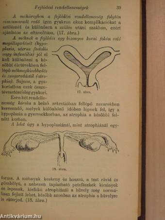 A nőgyógyászat zsebkönyve