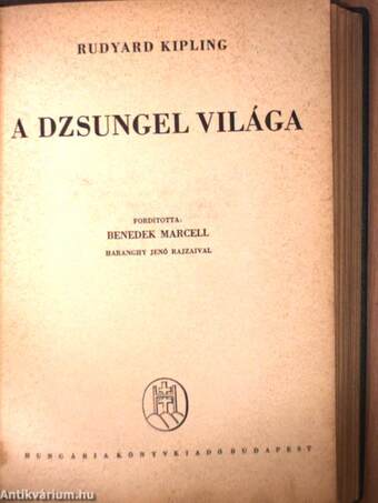 Maugli kalandjai az őserdőben/A dzsungel világa