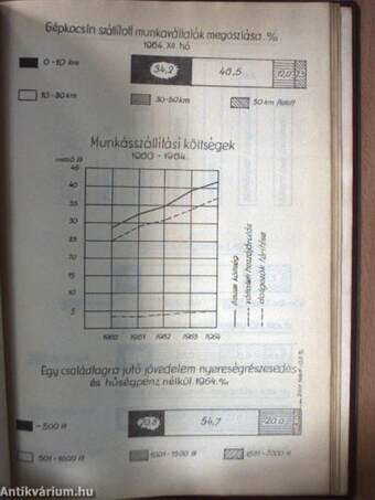 Borsodi Szénbányászati Tröszt üzemszociológiai tanulmány