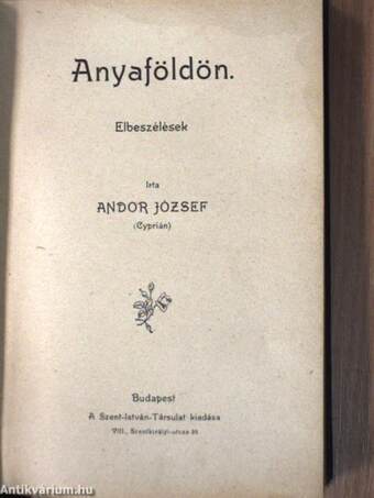 Anyaföldön