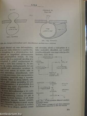 Orvosi élettan 1-2.