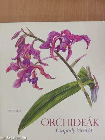 Orchideák