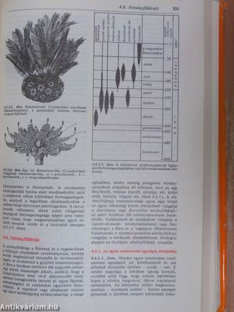 Természettudományi kisenciklopédia