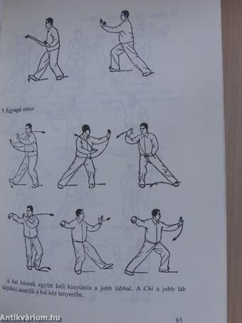 Gyakorlati Tai Chi Chuan és Chi Kung