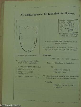 Vezérkönyv az egészségtan tanitásához