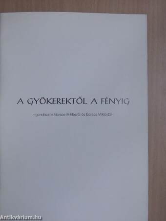 A gyökerektől a fényig