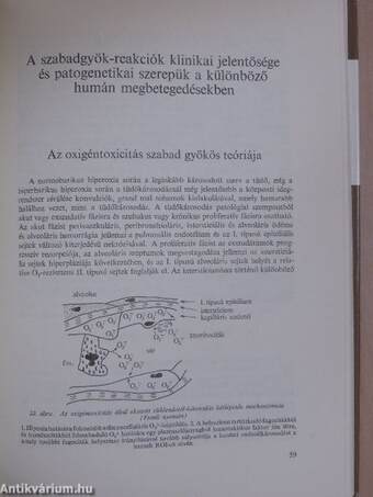 Szabadgyök-reakciók jelentősége az orvostudományban