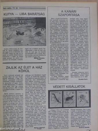 Kistenyésztők Lapja 1987. április