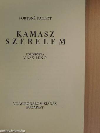 Kamasz szerelem