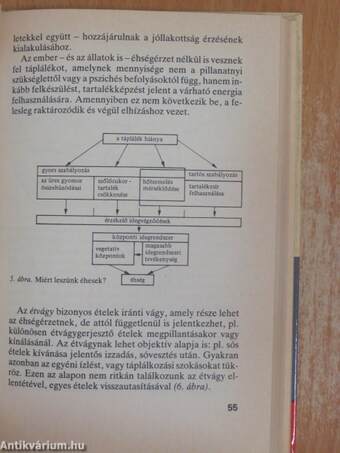 Az éhezéstől az elhízásig