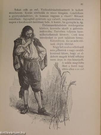 Robinson Crusoe élete és viszontagságai