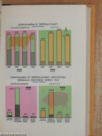 Mezőgazdasági Statisztikai Zsebkönyv 1963