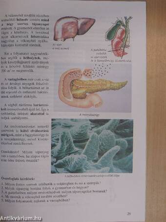 Biológia 8.