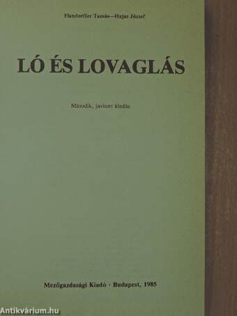 Ló és lovaglás