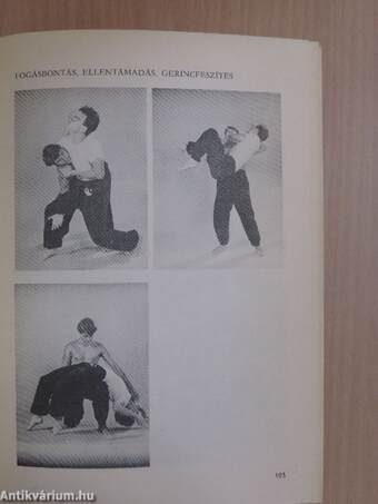 A kung fu királya