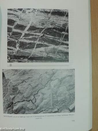 Jahrbuch der Geologischen Bundesanstalt 1980