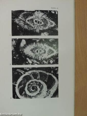 Jahrbuch der Geologischen Bundesanstalt - Sonderband 16.