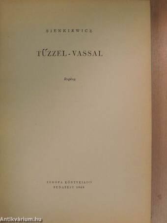 Tűzzel-vassal