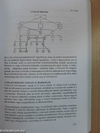 Vezetési ismeretek és módszerek