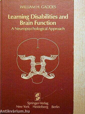 Learning Disabilities and Brain Function