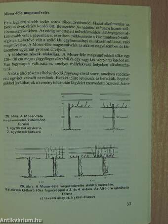 A szőlő metszése