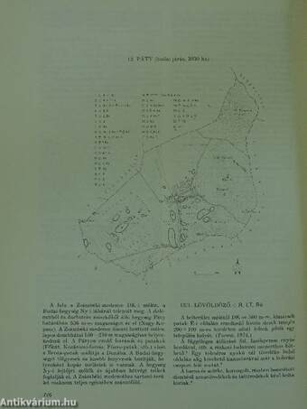 Pest megye régészeti topográfiája - A budai és szentendrei járás XIII/1.