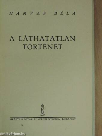 A láthatatlan történet