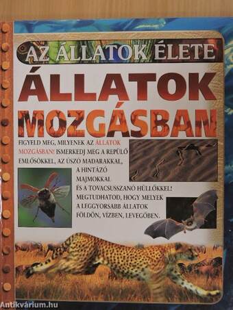 Állatok mozgásban